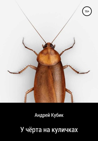 Андрей Кубик, У чёрта на куличках